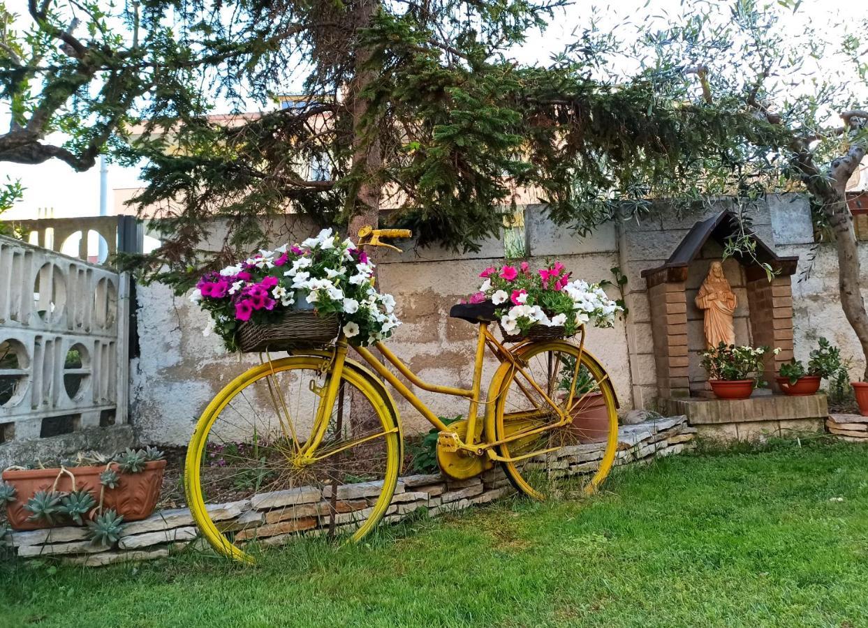 Bed and Breakfast Goccia Azzurra Silvi Marina Esterno foto