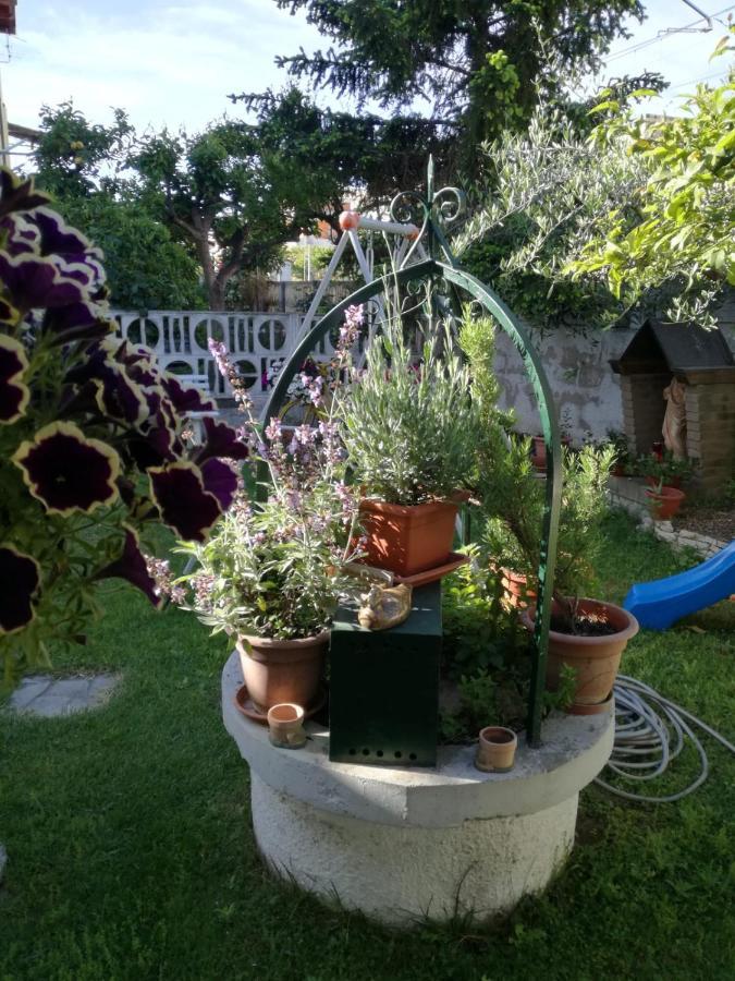 Bed and Breakfast Goccia Azzurra Silvi Marina Esterno foto